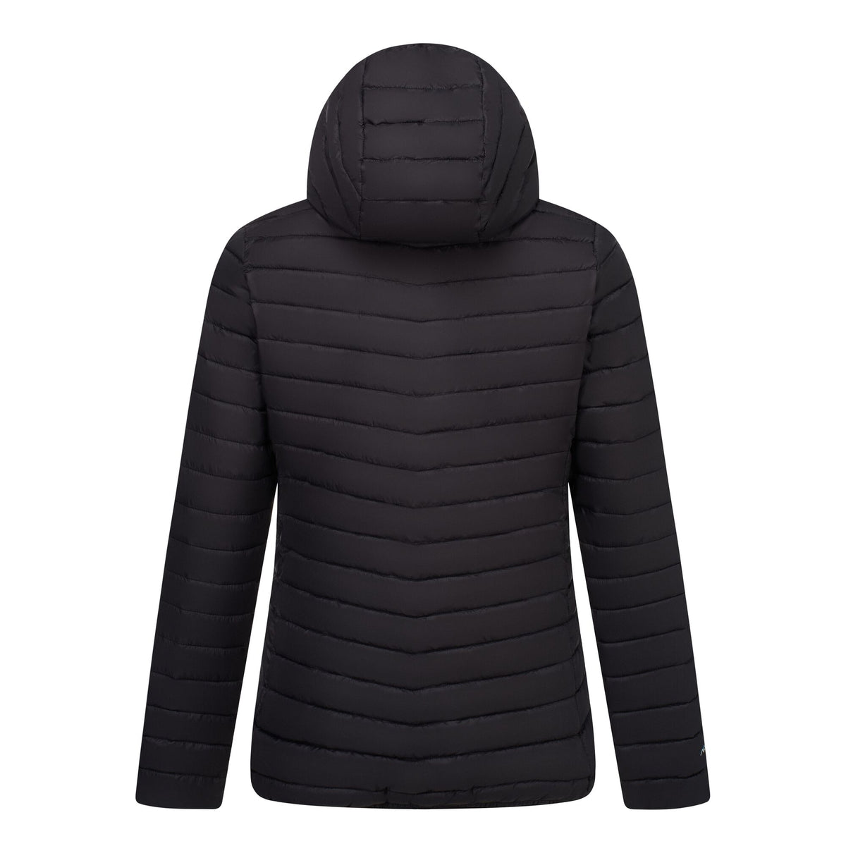 Black-Water Ballet - Back - Regatta Womens-Ladies Lighthouse Lightweight Padded Jacket
