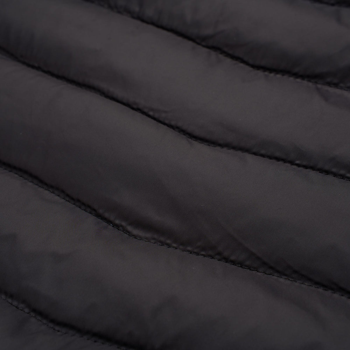 Black-Water Ballet - Lifestyle - Regatta Womens-Ladies Lighthouse Lightweight Padded Jacket