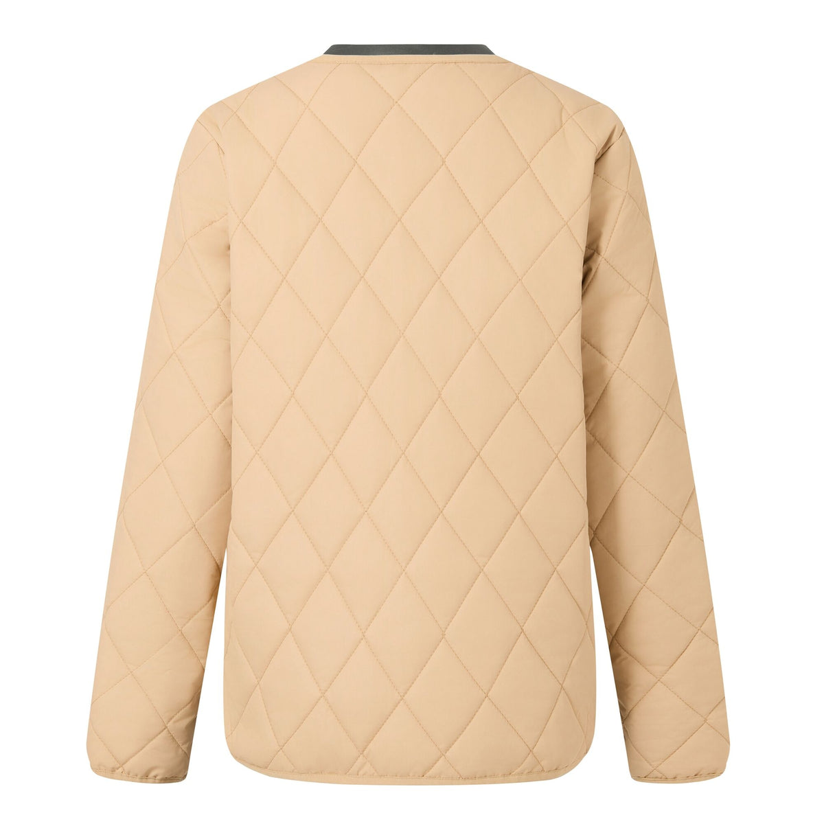 Barleycorn - Back - Regatta Womens-Ladies Maia Quilted Padded Jacket