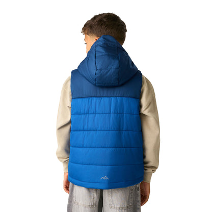 Aviator Blue-Olympian Blue - Back - Regatta Childrens-Kids Lofthouse Body Warmer