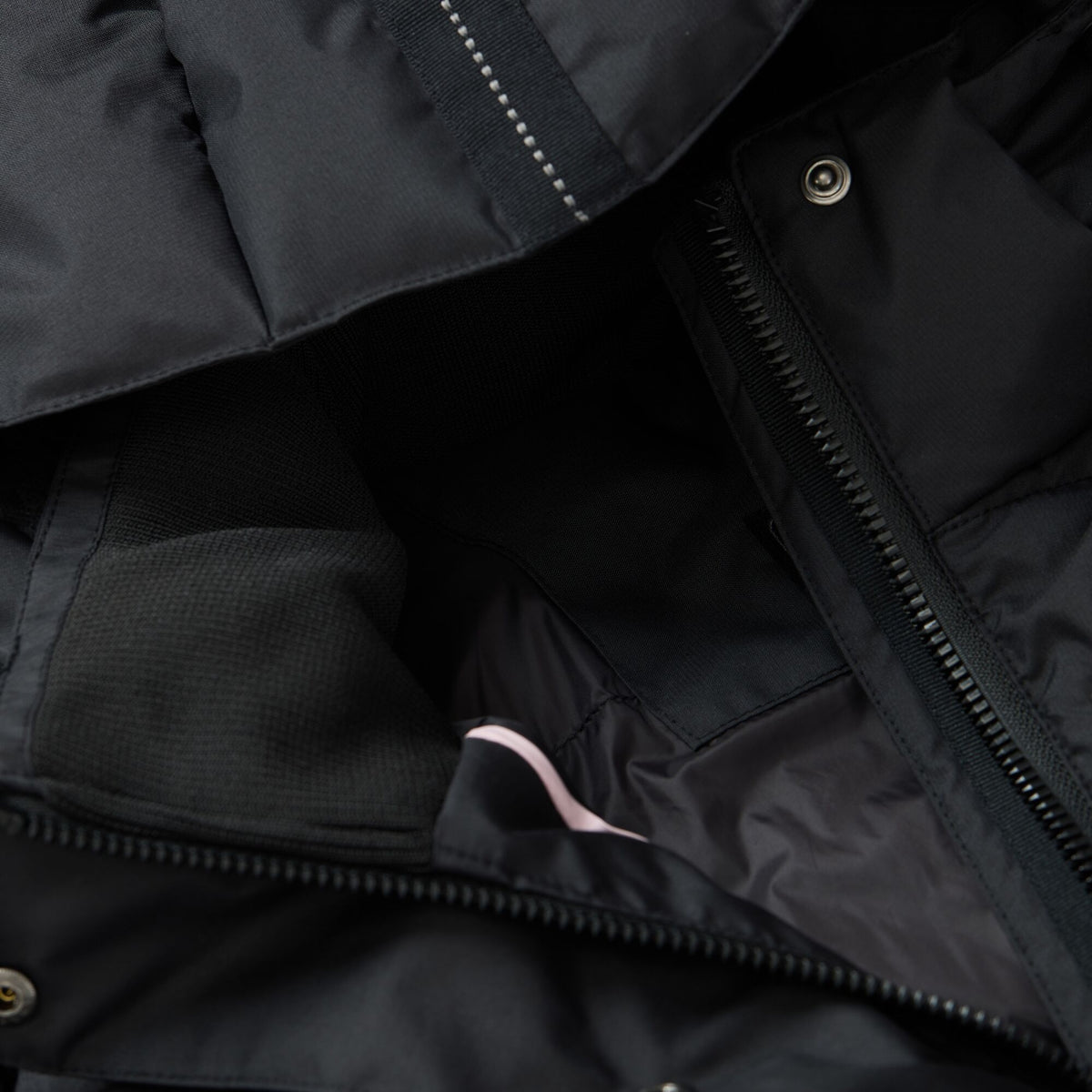 Black - Pack Shot - Regatta Womens-Ladies Eryn Padded Jacket