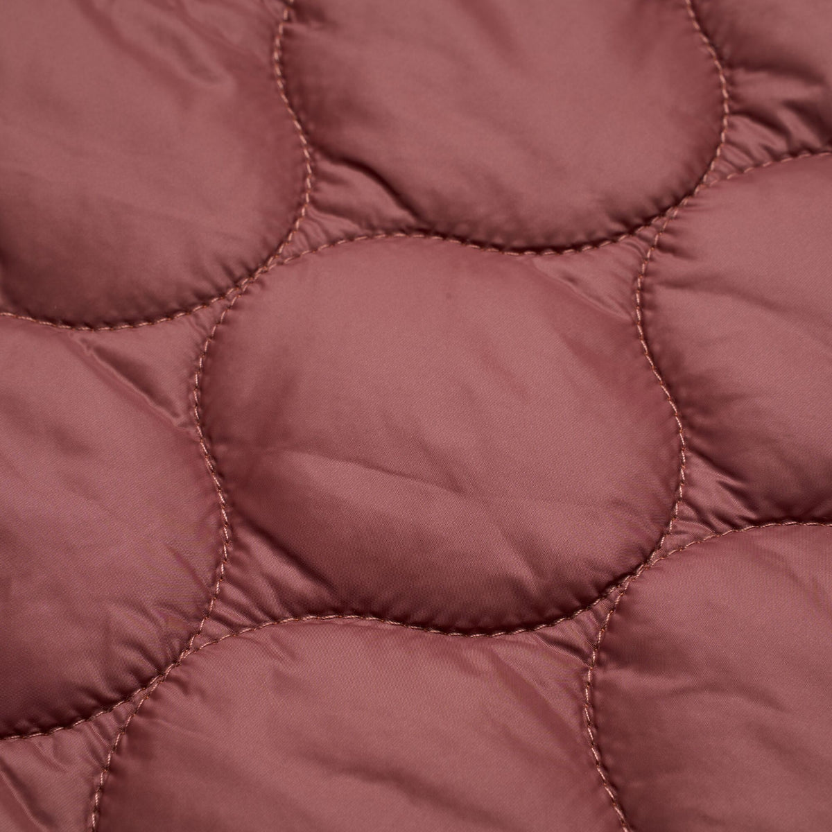 Dark Cherry - Lifestyle - Regatta Womens-Ladies Gaia Quilted Jacket