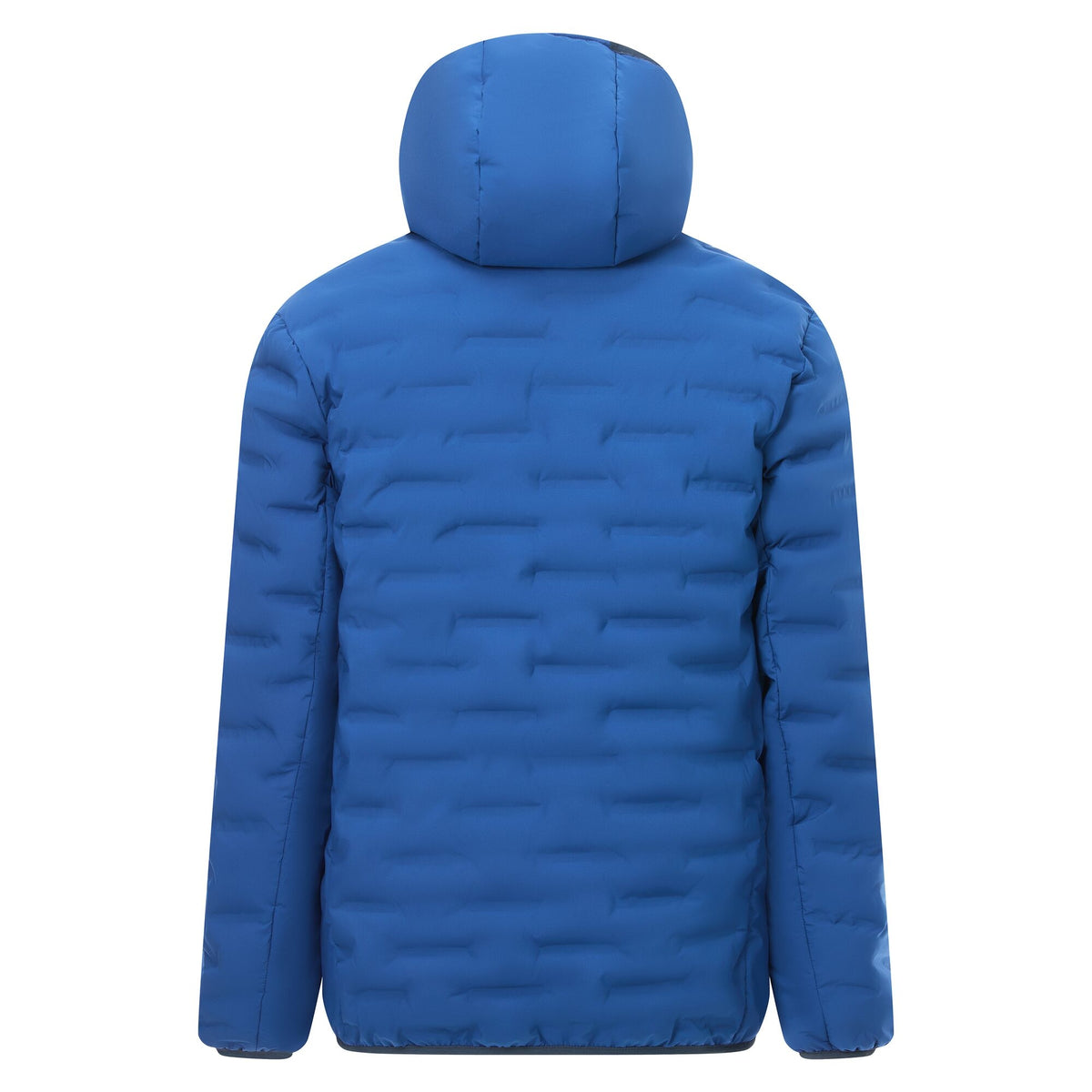 Aviator Blue - Back - Regatta Mens Astrel Padded Jacket