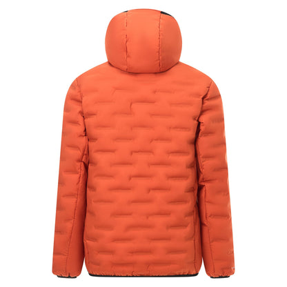 Rooibos Tea - Back - Regatta Mens Astrel Padded Jacket