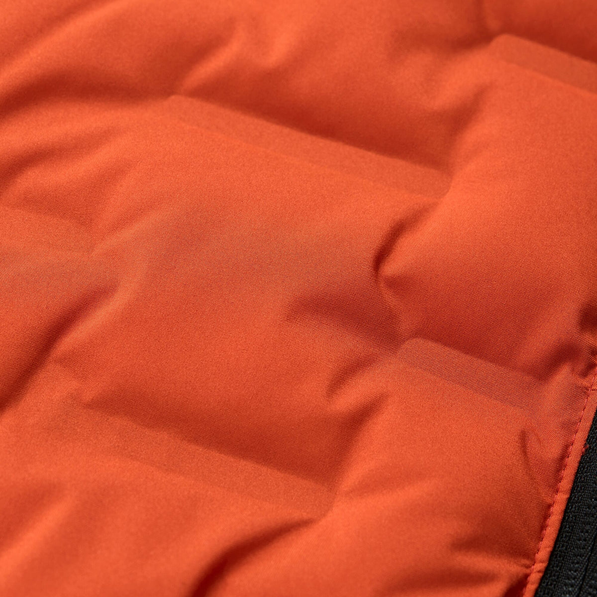 Rooibos Tea - Lifestyle - Regatta Mens Astrel Padded Jacket