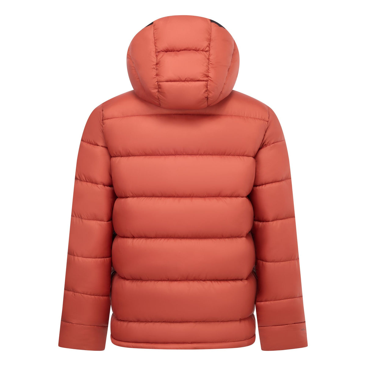 Burnt Henna - Back - Regatta Mens Munaro Padded Jacket