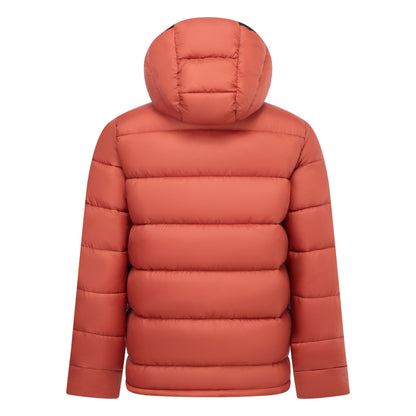 Burnt Henna - Back - Regatta Mens Munaro Padded Jacket