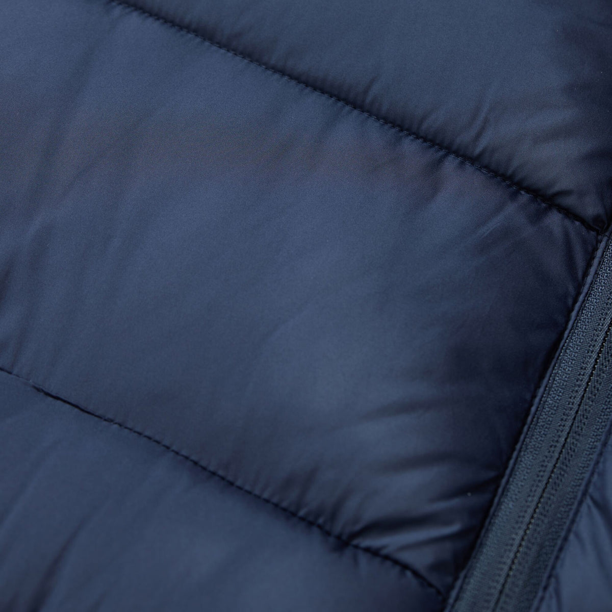 Navy-Dusky Blue - Lifestyle - Regatta Mens Browen Padded Jacket