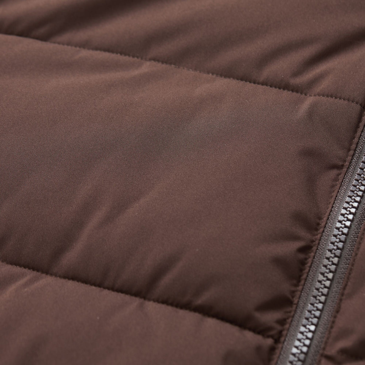 Dark Chocolate-Mocha - Lifestyle - Regatta Womens-Ladies Kayana Padded Jacket