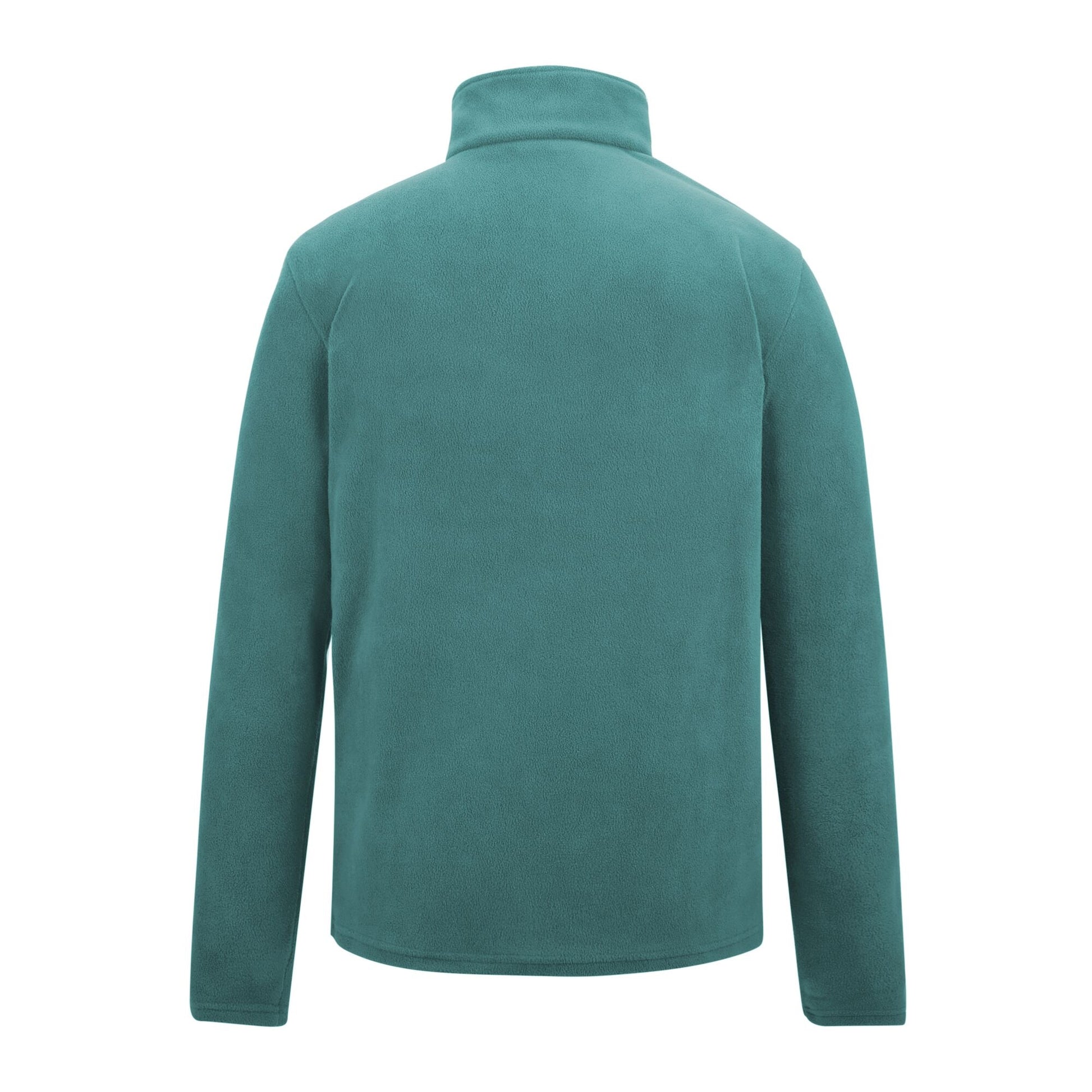 Arctic - Back - Regatta Great Outdoors Mens Thompson Half Zip Fleece Top