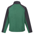 Eden-Ash - Back - Regatta Great Outdoors Mens Hedman II Two Tone Full Zip Fleece Jacket