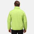 Key Lime-Seal Grey - Back - Regatta Professional Mens Waterproof Insulated Jacket