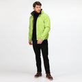 Key Lime-Seal Grey - Lifestyle - Regatta Professional Mens Waterproof Insulated Jacket