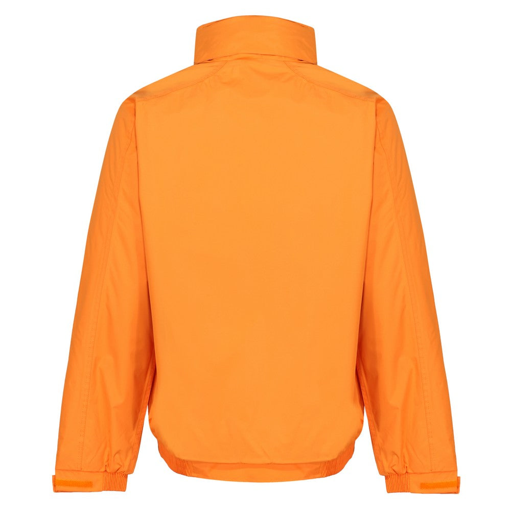 Sun Orange-Seal Grey - Back - Regatta Professional Mens Waterproof Insulated Jacket