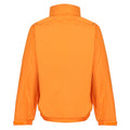 Sun Orange-Seal Grey - Back - Regatta Dover Waterproof Windproof Jacket (Thermo-Guard Insulation)