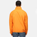 Sun Orange-Seal Grey - Side - Regatta Dover Waterproof Windproof Jacket (Thermo-Guard Insulation)