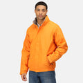 Sun Orange-Seal Grey - Lifestyle - Regatta Dover Waterproof Windproof Jacket (Thermo-Guard Insulation)