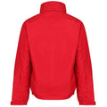 Classic Red-Navy - Back - Regatta Dover Waterproof Windproof Jacket (Thermo-Guard Insulation)