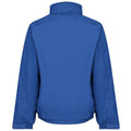 Royal Blue-Navy - Back - Regatta Professional Mens Waterproof Insulated Jacket