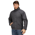 Seal Grey-Black - Back - Regatta Dover Waterproof Windproof Jacket (Thermo-Guard Insulation)