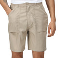 Lichen - Side - Regatta Mens New Action Shorts