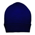 Classic Royal - Back - Regatta Mens Thinsulate Thermal Winter Hat