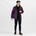 Majestic Purple-Seal Grey - Side - Regatta Mens Standout Ardmore Jacket (Waterproof & Windproof)