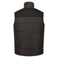 Black - Back - Regatta Professional Mens Standout Altoona Insulated Bodywarmer Jacket
