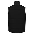 Black - Back - Regatta Professional Mens Standout Altoona Insulated Bodywarmer Jacket