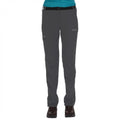 Seal Grey - Back - Regatta Great Outdoors Womens-Ladies Xert II Quick Drying Walking Trousers