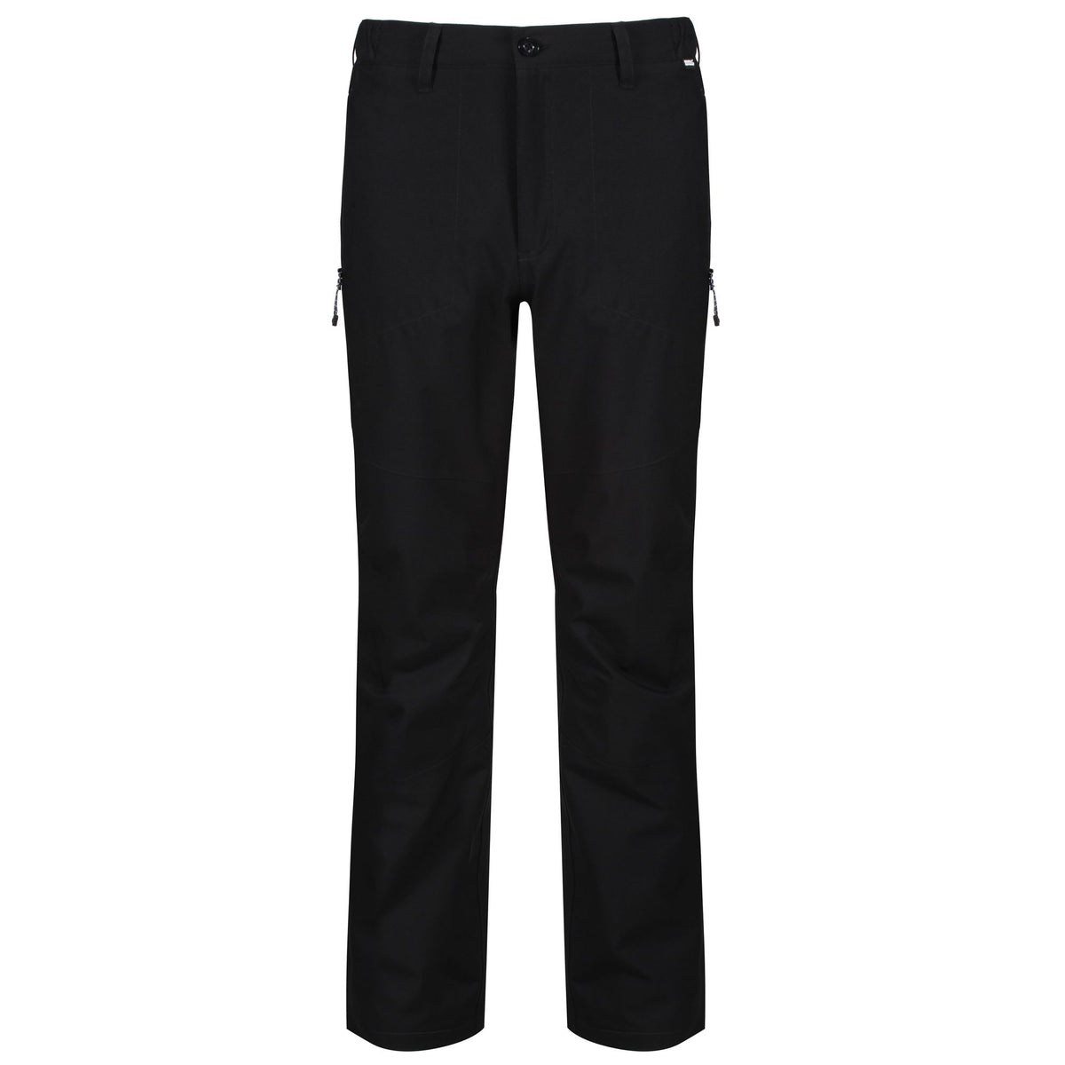 Black - Front - Regatta Great Outdoors Mens Dayhike III Waterproof Hiking Trousers