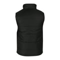 Black - Back - Regatta Professional Mens Body Warmer