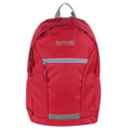 Duchess Pink-Dapple Grey - Front - Regatta Jaxon III Backpack (10 Litres)