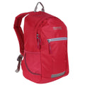 Duchess Pink-Dapple Grey - Back - Regatta Jaxon III Backpack (10 Litres)