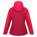 Berry Pink-Pink Potion - Back - Regatta Womens-Ladies Birchdale Waterproof Shell Jacket