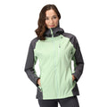 Quiet Green-Seal Grey - Side - Regatta Womens-Ladies Birchdale Waterproof Shell Jacket