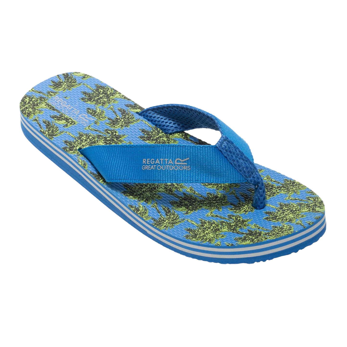 Sharp Green-Sonic Blue - Front - Regatta Mens Rico Flip Flops