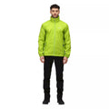 Bright Kiwi - Pack Shot - Regatta Mens Lyle IV Waterproof Hooded Jacket