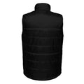 Black - Back - Regatta Professional Mens Insulated Body Warmer
