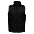 Black - Front - Regatta Professional Mens Insulated Body Warmer