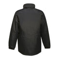 Black - Back - Regatta Professional Mens Insulated Jacket