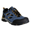 Brunswick Blue-Gold Straw - Front - Regatta Mens Holcombe IEP Low Hiking Boots