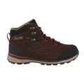 Peat-Burnt Salmon - Back - Regatta Mens Samaris Suede Hiking Boots