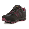 Black-Purple - Close up - Regatta Womens-Ladies Samaris Low II Hiking Boots