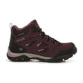 Dark Burgundy-Black - Back - Regatta Womens-Ladies Holcombe IEP Mid Hiking Boots