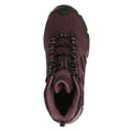 Dark Burgundy-Black - Pack Shot - Regatta Womens-Ladies Holcombe IEP Mid Hiking Boots