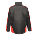 Graphite Black-Raspberry Red - Pack Shot - Regatta Mens Contrast Full Zip Jacket