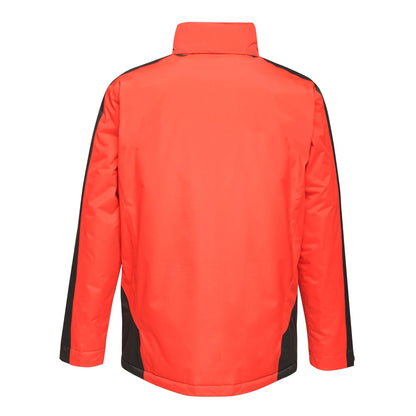 Raspberry Red-Graphite Black - Lifestyle - Regatta Professional Womens-Ladies Contrast Full Zip Jacket