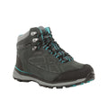 Briar-Atlantis Blue - Front - Regatta Womens-Ladies Samaris Suede Walking Boots