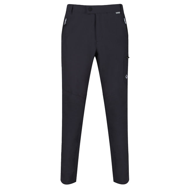 Seal Grey - Front - Regatta Mens Highton Hiking Trousers